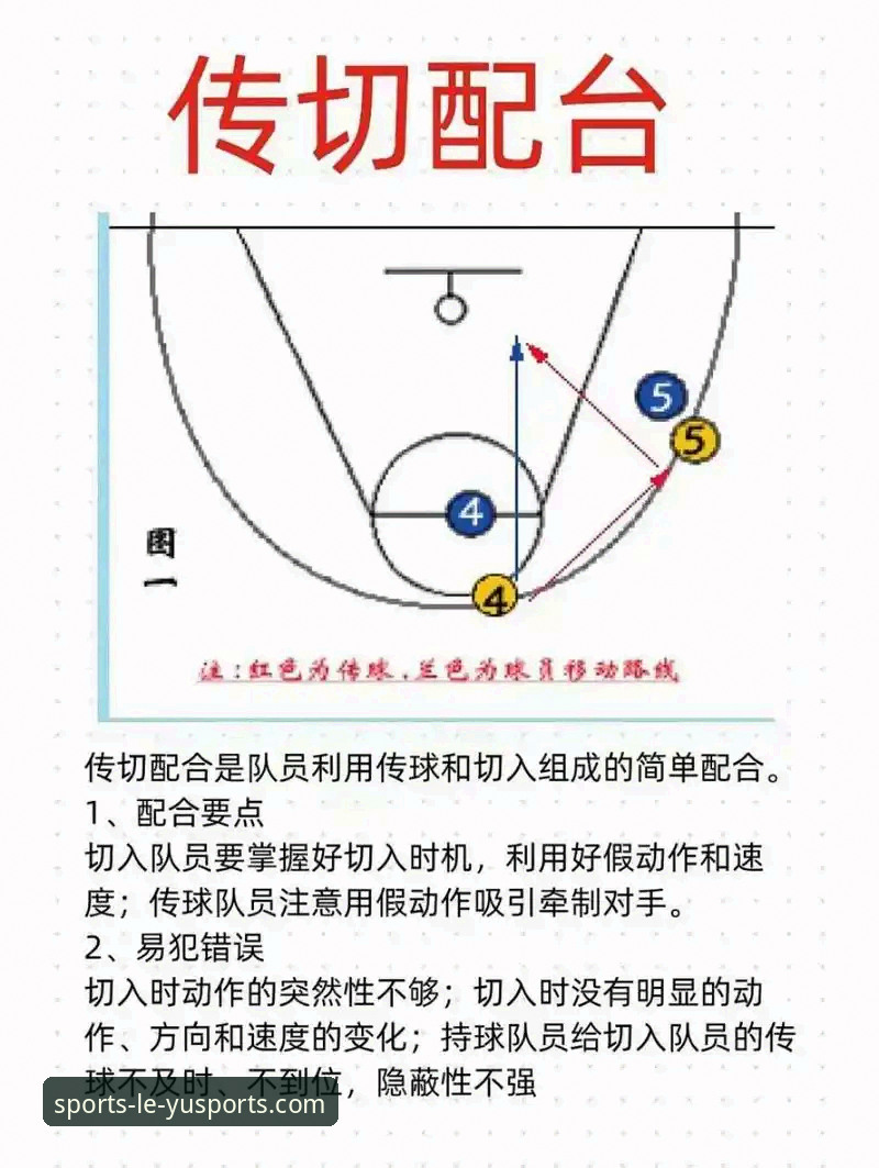 揭秘乐鱼体育入口使用指南：高效操作背后的实战技巧