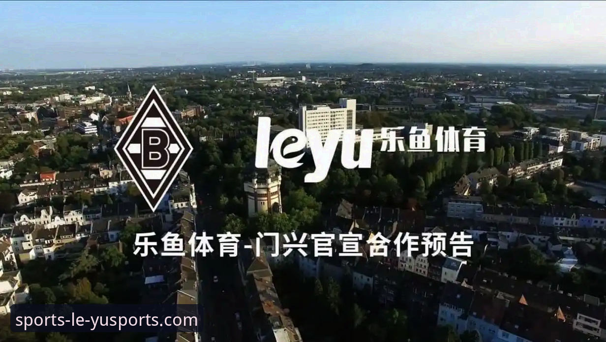 掌握乐鱼体育数据服务的关键实用技巧
